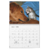 Meer kittens! kalender (Mar 2026)