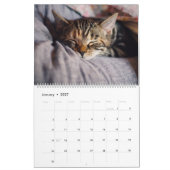 Meer Kittens Muurkalender - HAMbyWG Kalender (Jan 2027)