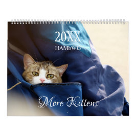 Meer Kittens wandkalender - HAMbyWG Kalender