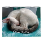 Meer Kittens wandkalender - HAMbyWG Kalender (Hoes)