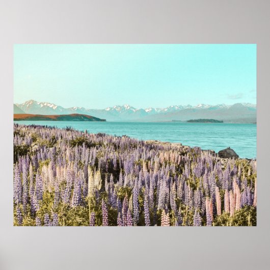 Meer Lupins | Art Print (Voorkant)
