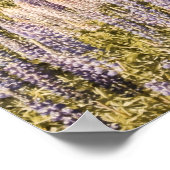 Meer Lupins | Art Print (Hoek)