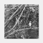 meer magneet (Voorkant)