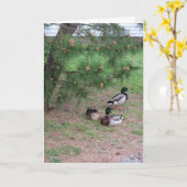 Meer Mallards & Pines Verjaardag Kaart w Bible Ver (Gele Bloem)