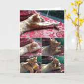 Meer medicijnen alstublieft kaart (Gele Bloem)