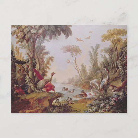 meer met ganzen, ooiezen, parrots en herons briefkaart (Voorkant)