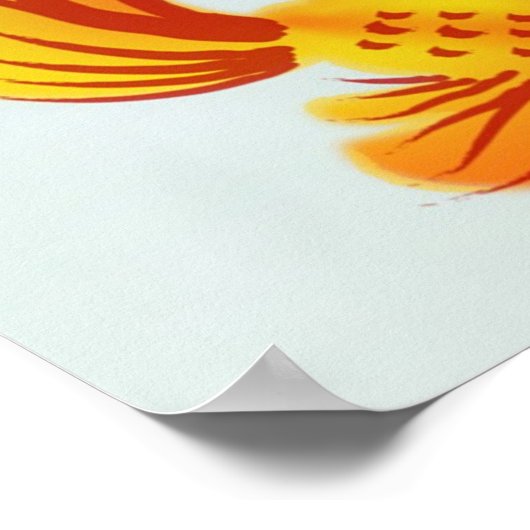 Meer met Koi Poster (Hoek)