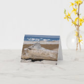Meer Michigan Iceberg & Driftwood Blank Notecards Kaart (Gele Bloem)