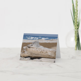 Meer Michigan Iceberg & Driftwood Blank Notecards Kaart