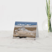 Meer Michigan Iceberg & Driftwood Blank Notecards Kaart (Voorkant)