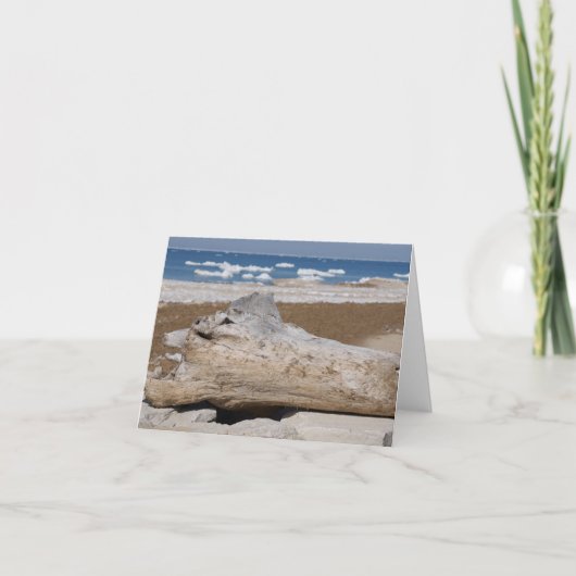 Meer Michigan Iceberg & Driftwood Blank Notecards Kaart (Voorkant)