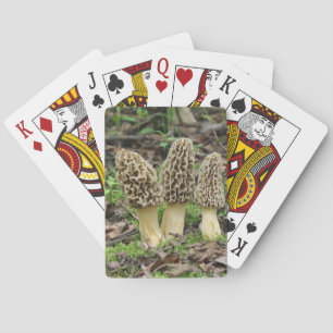 Meer Morels Pokerkaarten