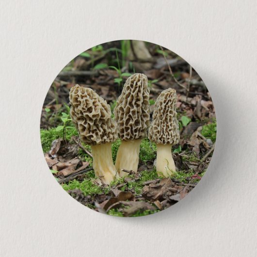Meer Morels Ronde Button 5,7 Cm (Voorkant)