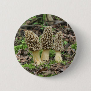 Meer Morels Ronde Button 5,7 Cm