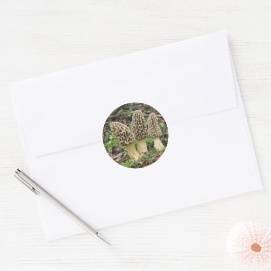 Meer Morels Ronde Sticker (Envelop)
