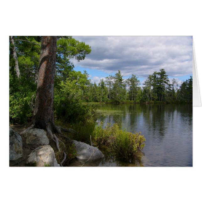 meer nelligan (Voorkant Horizontaal)