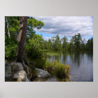 meer nelligan poster