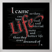 MEER OVERVLOEDIG LEVEN ECHT EN BETER POSTER (Voorkant)