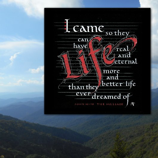 MEER OVERVLOEDIG LEVEN ECHT EN BETER POSTER