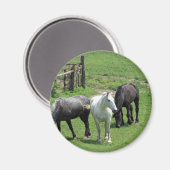 Meer paarden! magneet (Voorkant / Achterkant)
