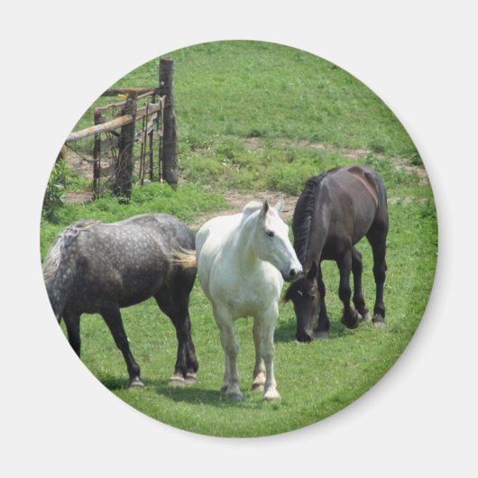 Meer paarden! magneet (Voorkant)