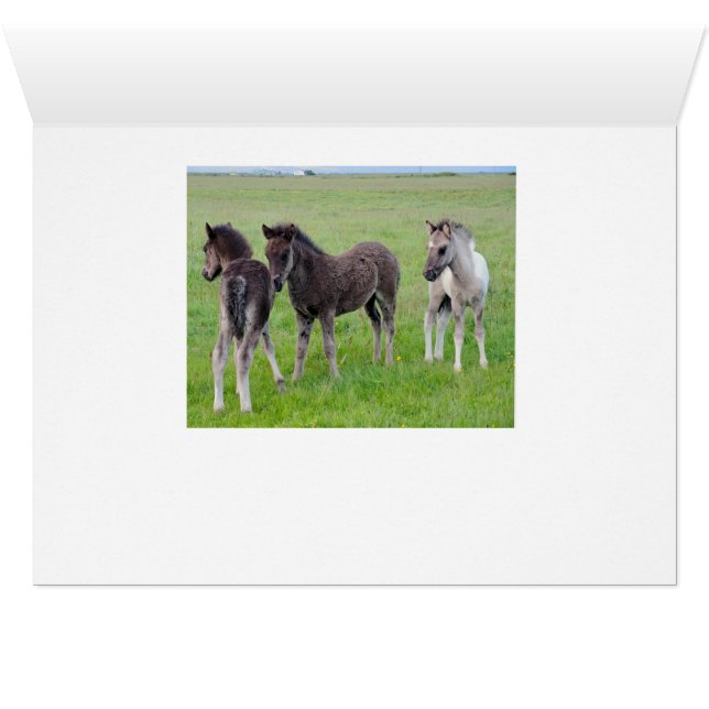 Meer paardengalerij (horizontaal) (Binenzijde Horizontaal (Onderkant))