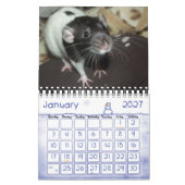 Meer Ratties! (kleine) kalender (Jan 2027)