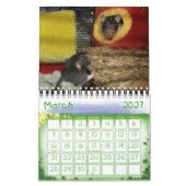 Meer Ratties! (kleine) kalender (Mar 2027)