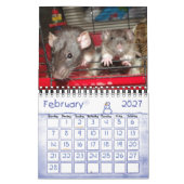 Meer Ratties! (kleine) kalender (Feb 2027)