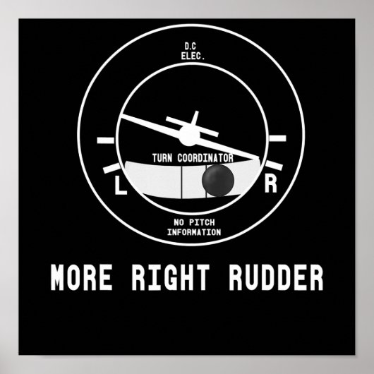 Meer rechtervleugelvlieger Cfi-instructeur Pilot-C Poster (Voorkant)