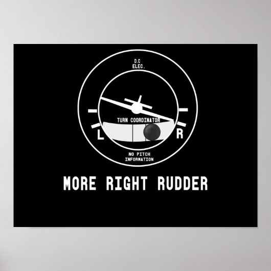 Meer rechtervleugelvlieger Cfi-instructeur Pilot-C Poster (Voorkant)