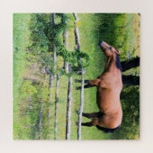 Meer ride - minder zorgelijk - paarse schaal - 20x legpuzzel (Horizontaal)