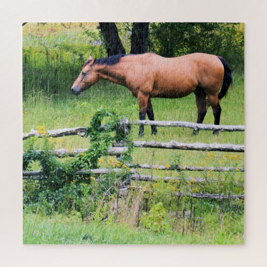 Meer ride - minder zorgelijk - paarse schaal - 20x legpuzzel (Verticaal)