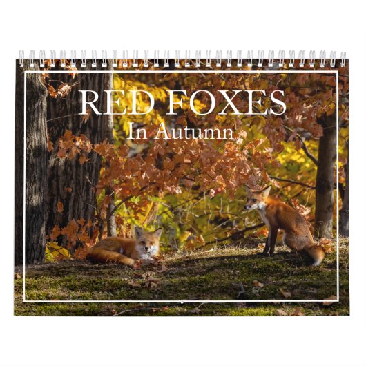 Meer rode vossen in de herfstkalender kalender (Hoes)