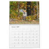 Meer rode vossen in de herfstkalender kalender (Jan 2027)