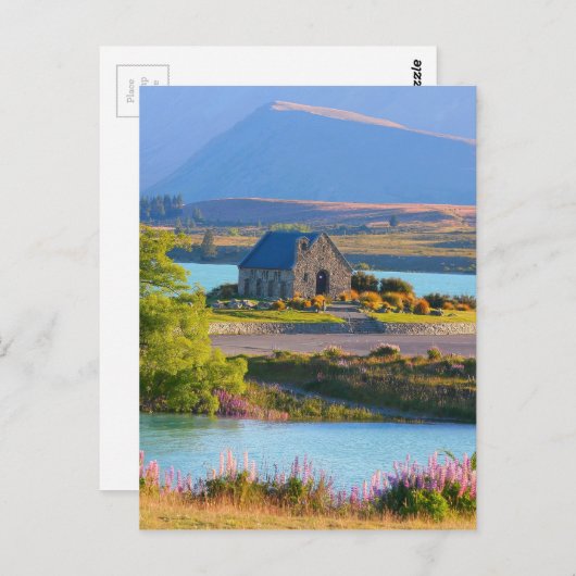 meer-tekapo-517 briefkaart (Voorkant / Achterkant)