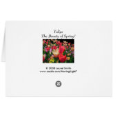 Meer Tulpen (Achterkant Horizontaal)