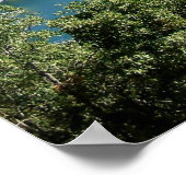 Meer van Arrowiad Poster (Hoek)