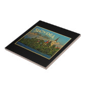 Meer van Bled Slovenië Tegeltje (Zijkant)