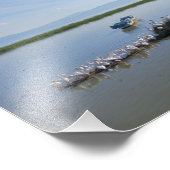 Meer van Chapala Pelicans Foto Afdruk (Hoek)