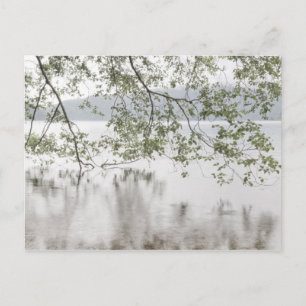 Meer van Crescent   Nationaal park van de Olympisc Briefkaart