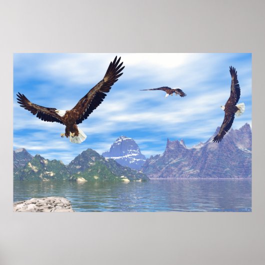 Meer van de Eagles Poster (Voorkant)