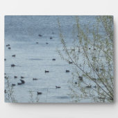 Meer van de vogelpest fotoplaat (Voorkant)