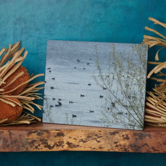 Meer van de vogelpest fotoplaat (Zijkant)