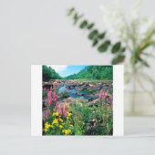 Meer van de Wisconsin de Ice Age Reserve Wisconsin Briefkaart (Staand voorkant)