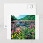 Meer van de Wisconsin de Ice Age Reserve Wisconsin Briefkaart (Voorkant / Achterkant)