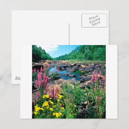 Meer van de Wisconsin de Ice Age Reserve Wisconsin Briefkaart (Voorkant / Achterkant)