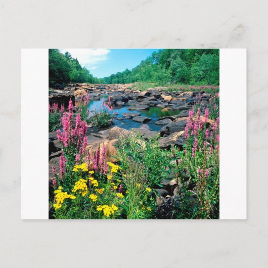 Meer van de Wisconsin de Ice Age Reserve Wisconsin Briefkaart (Voorkant)