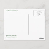 Meer van Eustis Briefkaart (Achterkant)