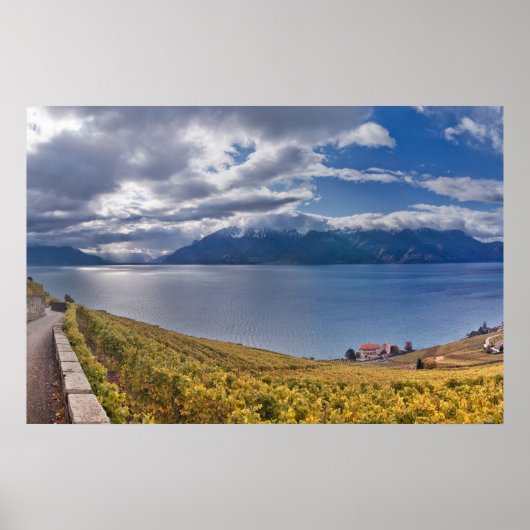 Meer van Genève (Lac Léman) 011 Poster (Voorkant)